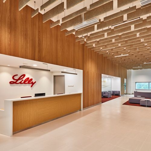 Lilly, Synapse