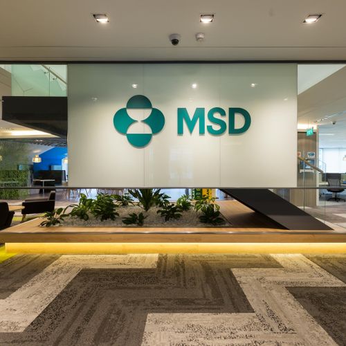 MSD, Galaxis
